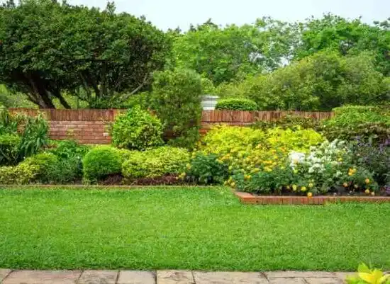 landscaping services Oneida